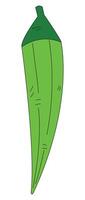 Green okra isolated on white background vector