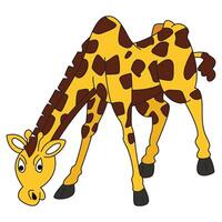 A giraffe on a white background vector