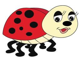 Ladybug isolated on white background vector