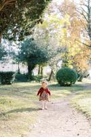 Smiling little girl walks along a dirt path in an autumn park photo