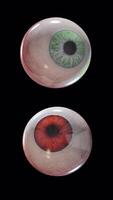 Loop Evil scary eyes of green and red color with alpha channel video