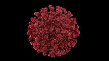 Loop spinning red coronavirus with alpha channel video