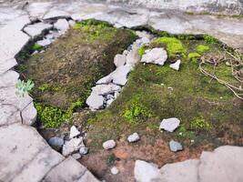 a small stream of water running through a crack in the ground photo
