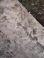 background of asphalt and soil fill with moss, rock and pieces of paper photo