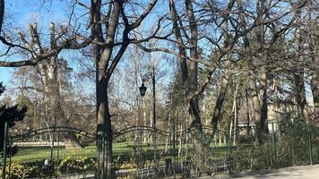Beautiful spring day in a tranquil city park showcasing lush greenery and majestic trees photo