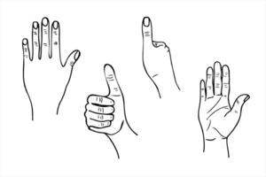 monochrome human hand simple line art illustration set painted by black inks. Palm and back view of hand, finger giving thumbs up. Body part etching drawing for presentation, advertising vector