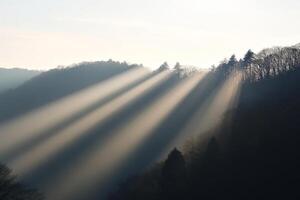 Sunlight streams through trees on a misty morning in the mountains creating a serene atmosphere photo
