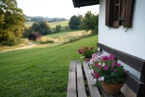 Flower pots on a rustic bench overlook a serene countryside landscape at sunset in a quiet rural area photo