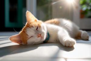 Orange and white cat lazily sleeps on a sunlit floor in a cozy room during the afternoon photo