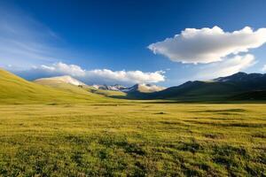Vast green landscape under a clear blue sky with distant mountains in the background during daytime photo