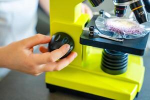 Close up view of hands of little girl preparing a sample for microscope examination. Concept of hands-on science learning and curiosity-driven exploration. High quality photo