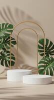 A white pedestal with a gold arch and a plant photo