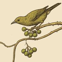 Small Bird Perched on Berry Branch with Thorns Illustration vector