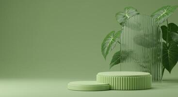 Green plant and green container on a green background photo