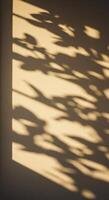 Minimalist image of leaf silhouettes dancing in the sunlight photo
