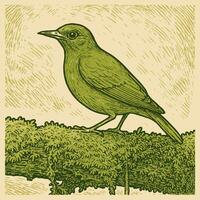 Bird Perched on Branch with Moss Vintage Style Illustration vector