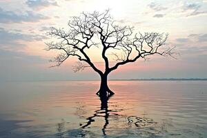 A hauntingly beautiful scene of a dead tree standing in a serene lake at sunset, capturing the warm glow of the sky and the reflection on the water in Thailand photo