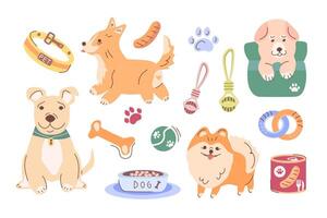 A set of cliparts with purebred pets, accessories for animals and food. Cute dogs in different poses colorful series. A charming set with dogs for the design of advertising services for animals vector