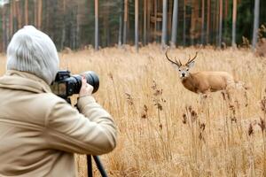 A photographer capturing a wild deer in its natural habitat. The moment showcases the beauty of wildlife and the art of animal photography, with the deer in focus amidst the serene nature backdrop photo