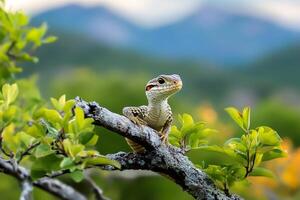 Curious lizard resting on a branch is observing the surroundings in nature photo