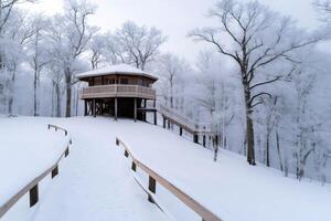 Wooden cabin in snowy forest with pathway leading to it during winter photo