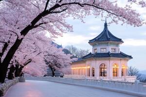 Palgakjeong pavilion blooming with cherry blossoms in spring at dawn in South Korea photo