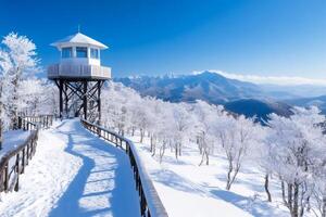 Observation tower overlooking snow covered trees and Japanese Alps in winter photo