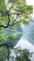 Lush green tree reflecting in a calm lake surrounded by mountains photo