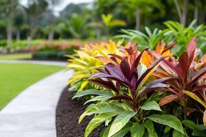 Colorful leaves creating a vibrant hedge along a garden path photo