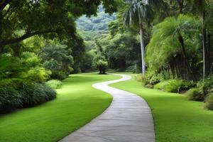 Winding concrete path crossing a lush green lawn in a botanical garden photo