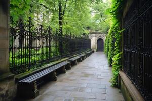 Empty benches resting along a tranquil paved path in a serene garden photo