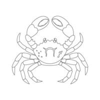 A detailed black and white drawing of a crab on a white background vector