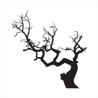 tree stands against a blank background, its bare branches reaching upwards. silhouette