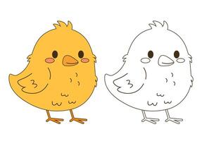 Flat style illustration of a cute chick shown in color and outline versions, perfect for coloring pages, childrens projects, spring themes, and farm animal collections. vector