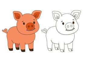 Flat style illustration of a smiling piglet with a coloring page version, perfect for childrens books, educational materials, and farm-themed design projects. vector
