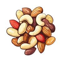 Mixed Nuts In Realistic Style vector