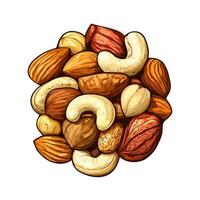 Realistic Mixed Nuts On White Background vector