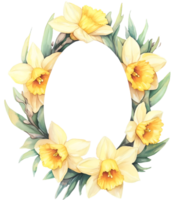 Watercolor Easter Daffodils flower frame wreath in egg shape on transparent background. Space for text. png