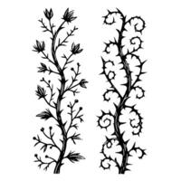 Line art of decorative floral branches with leaves, thorns, and buds. Set of black dry branches illustration, branches with spikes. Illustration of the crowns of thorns on a white background. vector