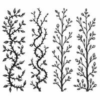 Seamless pattern with tree branches. Botanical Illustration of Vines, Leaves, and Thorny Stems. Set of black branches with spikes illustration, black silhouettes of twigs and leaves illustration. vector
