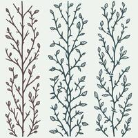Detailed line art of twigs and thorns. Seamless pattern with tree branches. Botanical Illustration of Vines, Leaves, and Thorny Stems. Set of hand drawn branches with leaves in doodle style. vector