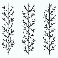 Line art of decorative floral branches with leaves, thorns, and buds, branches with spikes illustration. Set of silhouettes of twigs and leaves, branch with flowers. Black and white floral background. vector