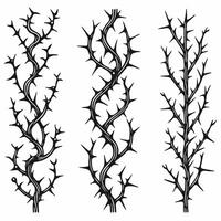 Detailed line art of twigs and thorns. Seamless pattern with tree branches. Set of black dry branches illustration with spikes illustration of the crowns of thorns on a white background. vector