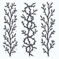 Detailed line art of twigs and thorns. Seamless pattern with tree branches. Set of black dry branches illustration with spikes illustration. Set of black silhouettes of twigs and leaves illustration. vector