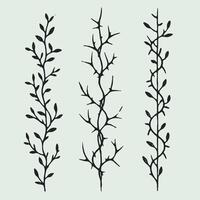 Detailed line art of twigs and thorns. Seamless pattern with tree branches. Botanical Illustration of Vines, Leaves, and Thorny Stems. Illustration of the crowns of thorns on a white background. vector