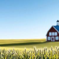 A red barn sits in the middle of a field photo