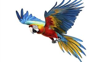 A colorful parrot flying in the air photo