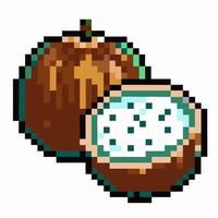 Pixel Art Coconut Illustration Retro Design of Whole and Halved Coconuts in Vintage Style vector