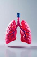Pink inflated lungs showing bronchial tree on plain background photo