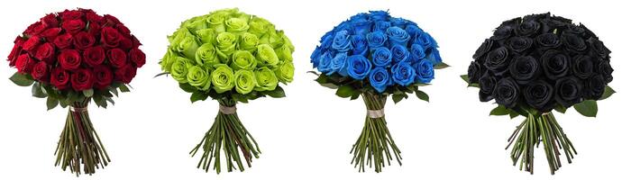 A set of colorful bouquets of roses on a white background photo